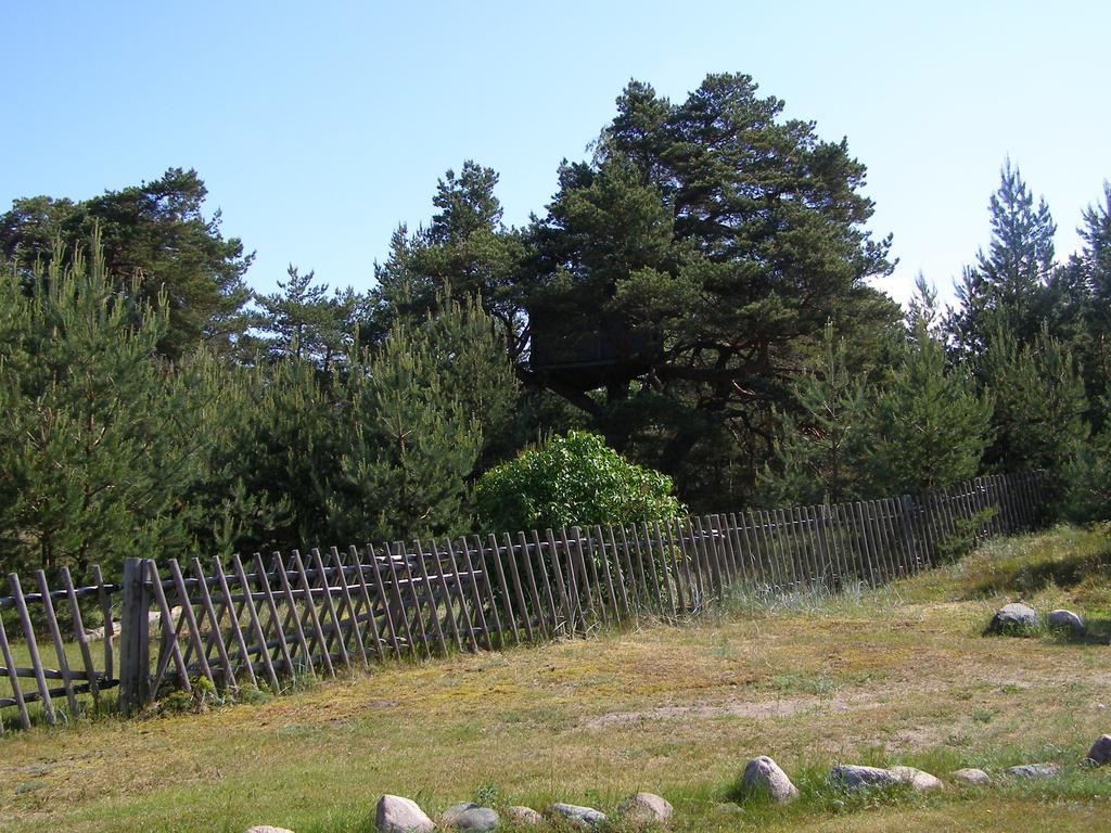 Treimani Rannamaja Villa Buitenkant foto